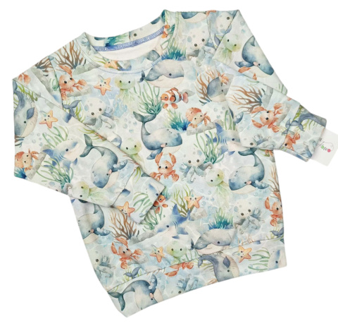 Bluza Morska Przygoda Bluza Morska Przygoda